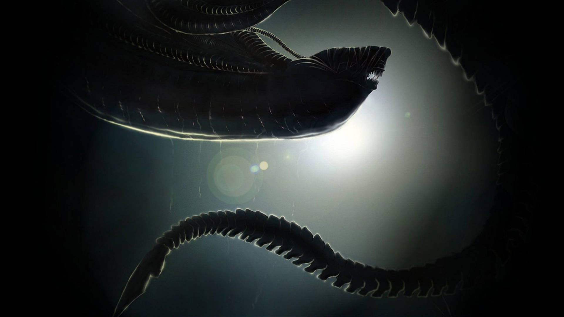2560X1440 Alien Wallpaper and Background