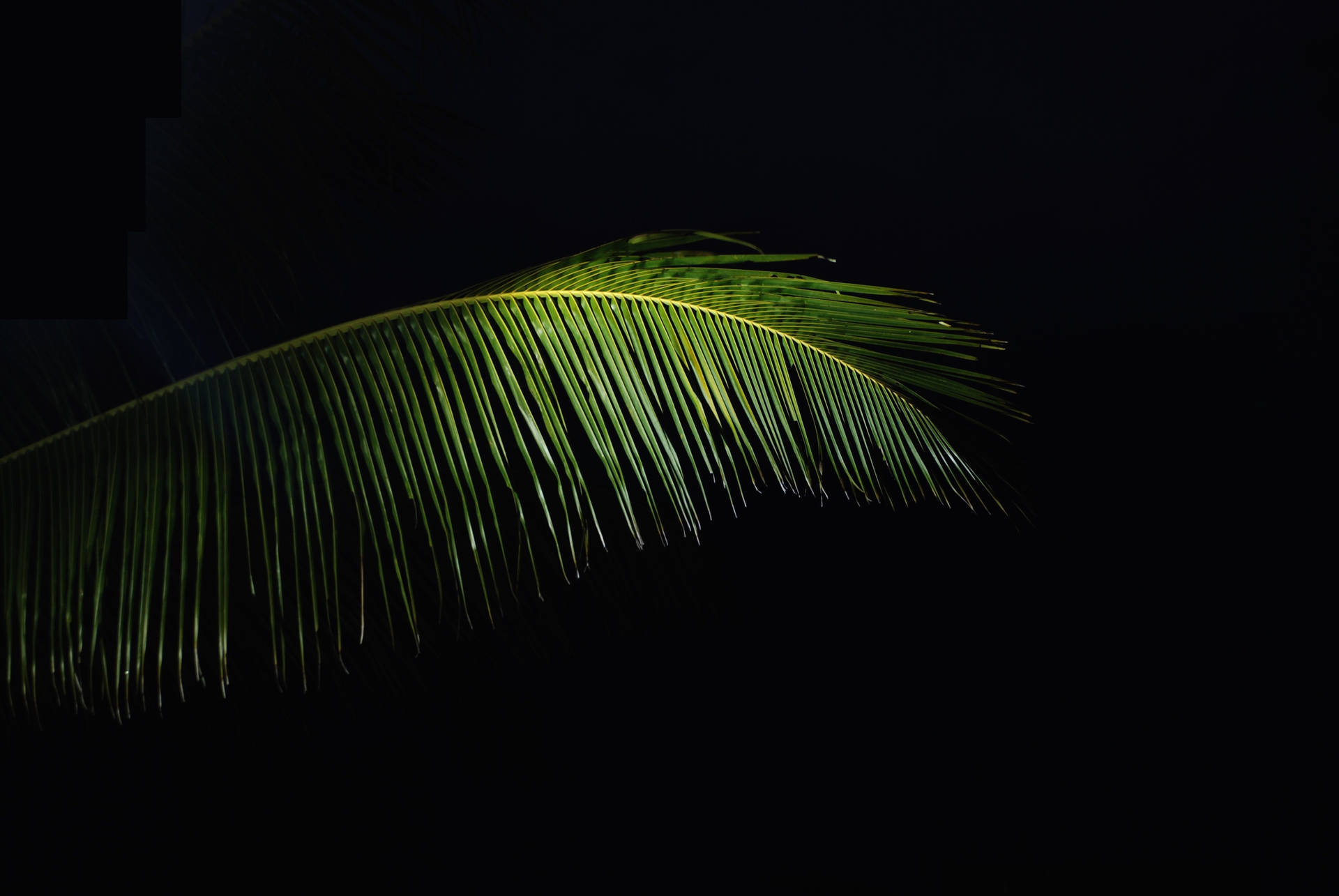 3872X2592 Amoled Wallpaper and Background
