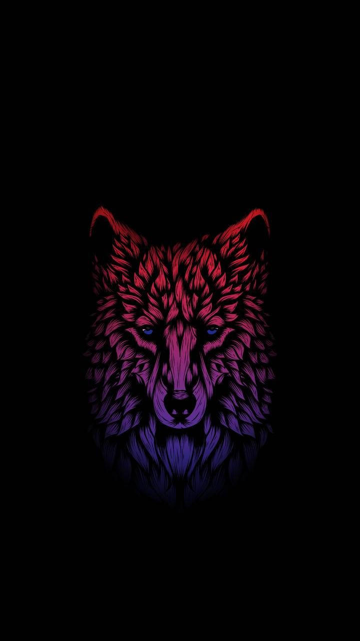 720X1280 Amoled Wallpaper and Background