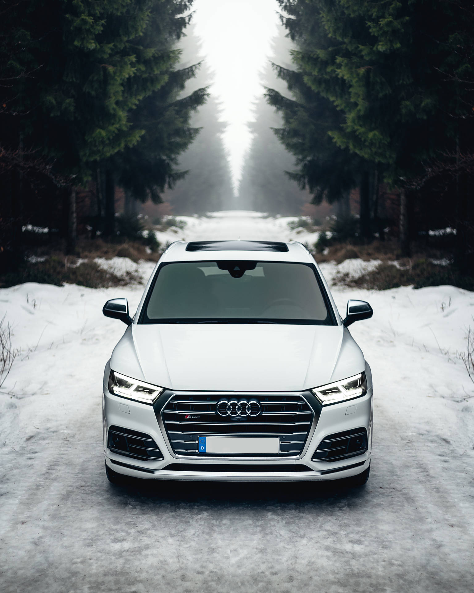 2655X3319 Audi Wallpaper and Background