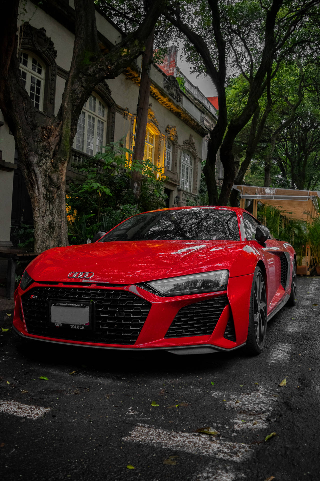 3921X5881 Audi Wallpaper and Background