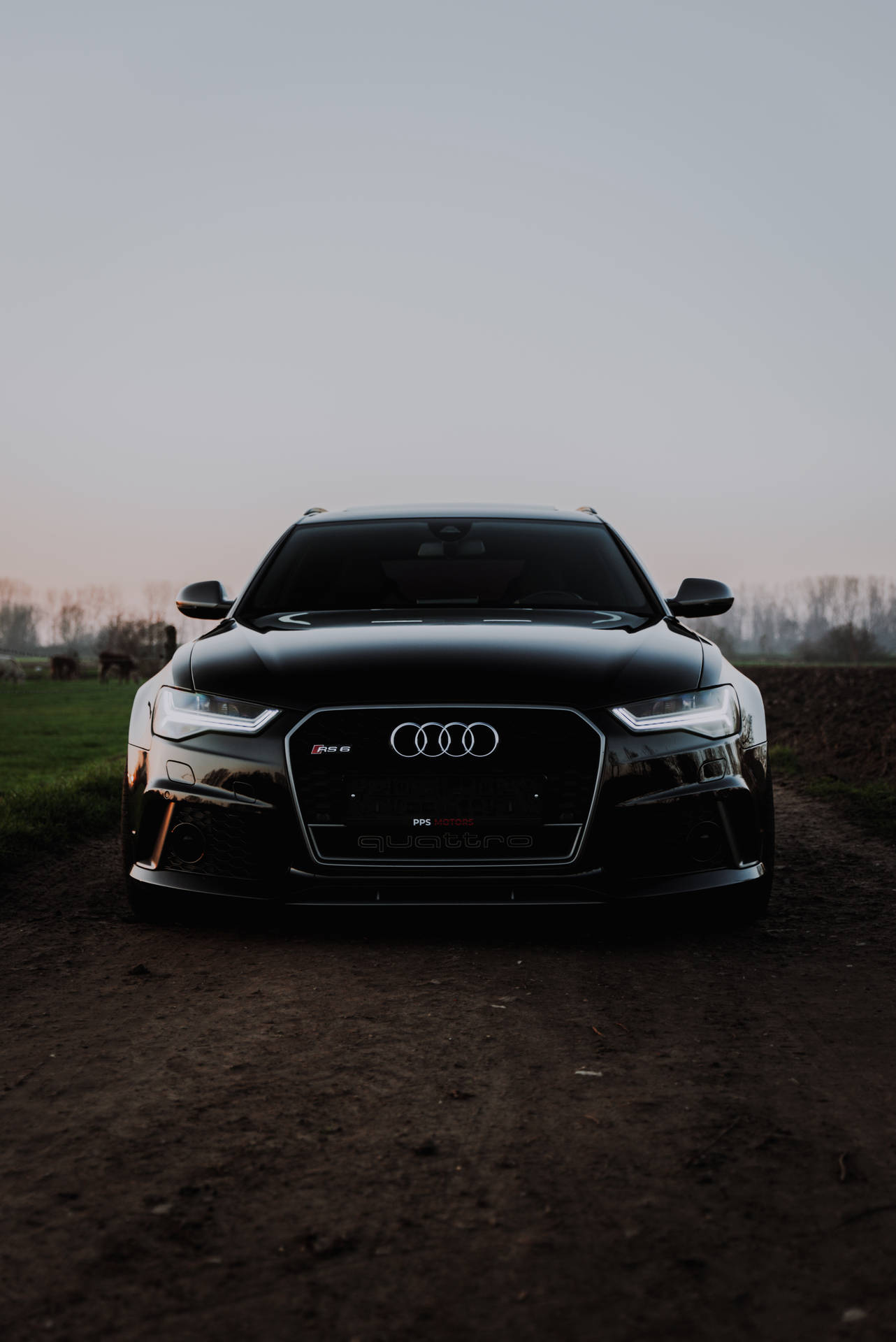 3971X5949 Audi Wallpaper and Background