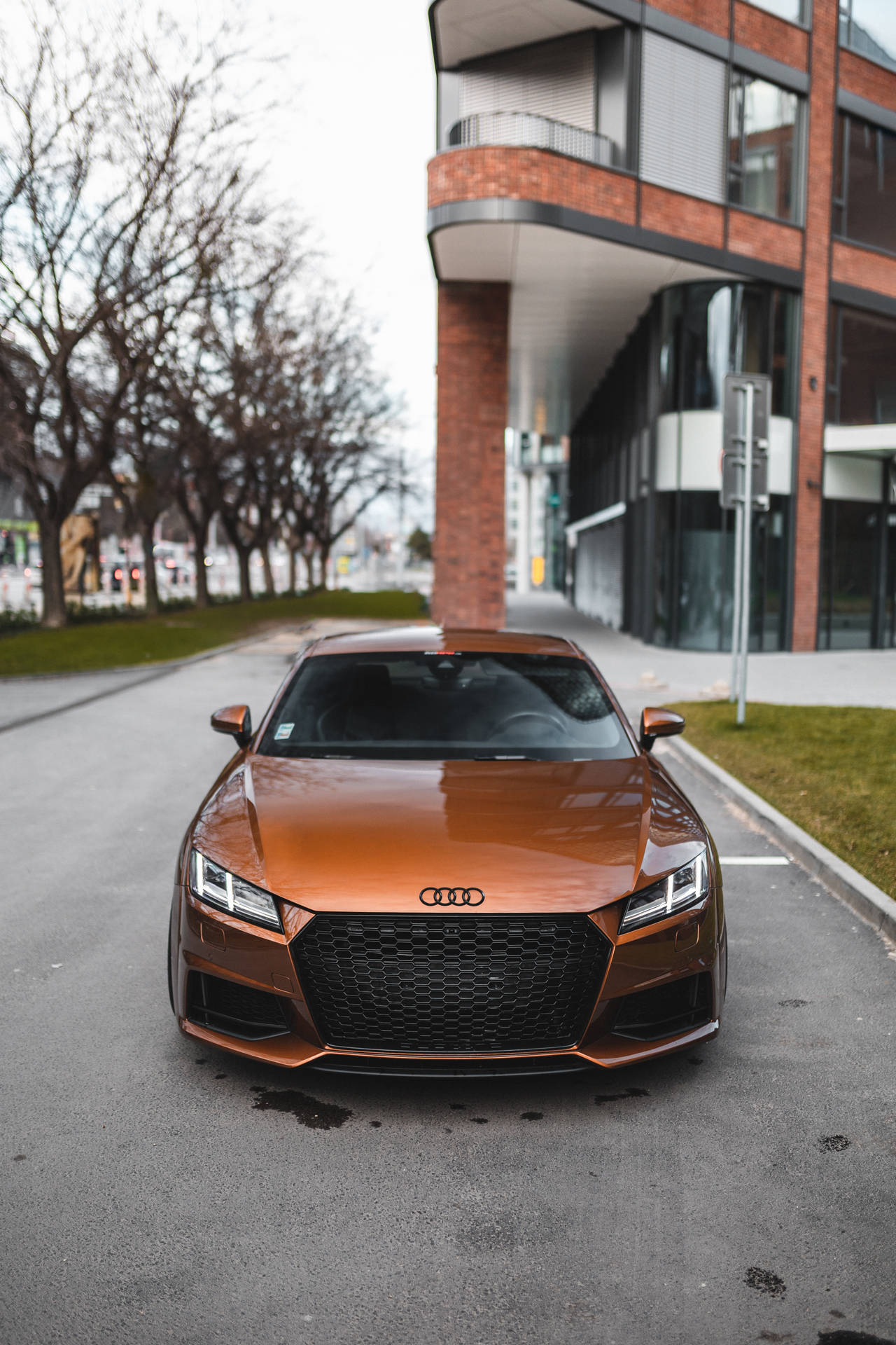 3984X5976 Audi Wallpaper and Background