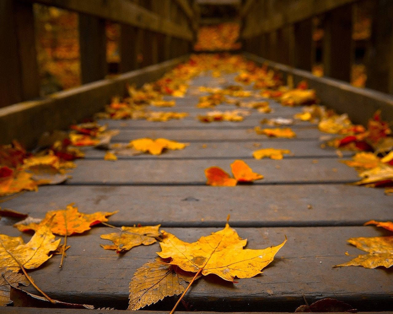 1280X1024 Autumn Wallpaper and Background