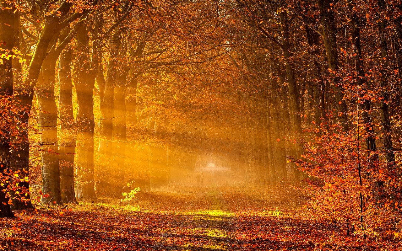 1280X800 Autumn Wallpaper and Background