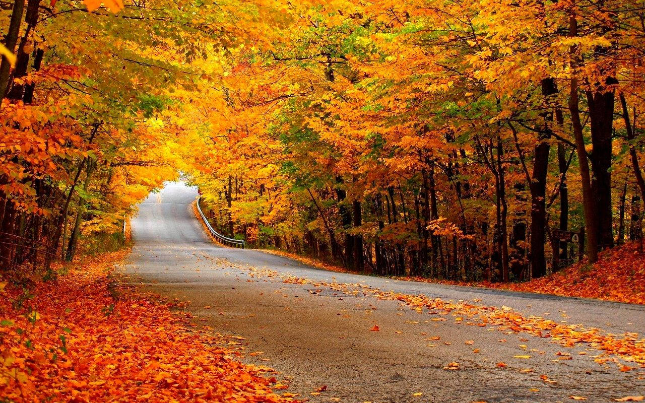 1280X800 Autumn Wallpaper and Background