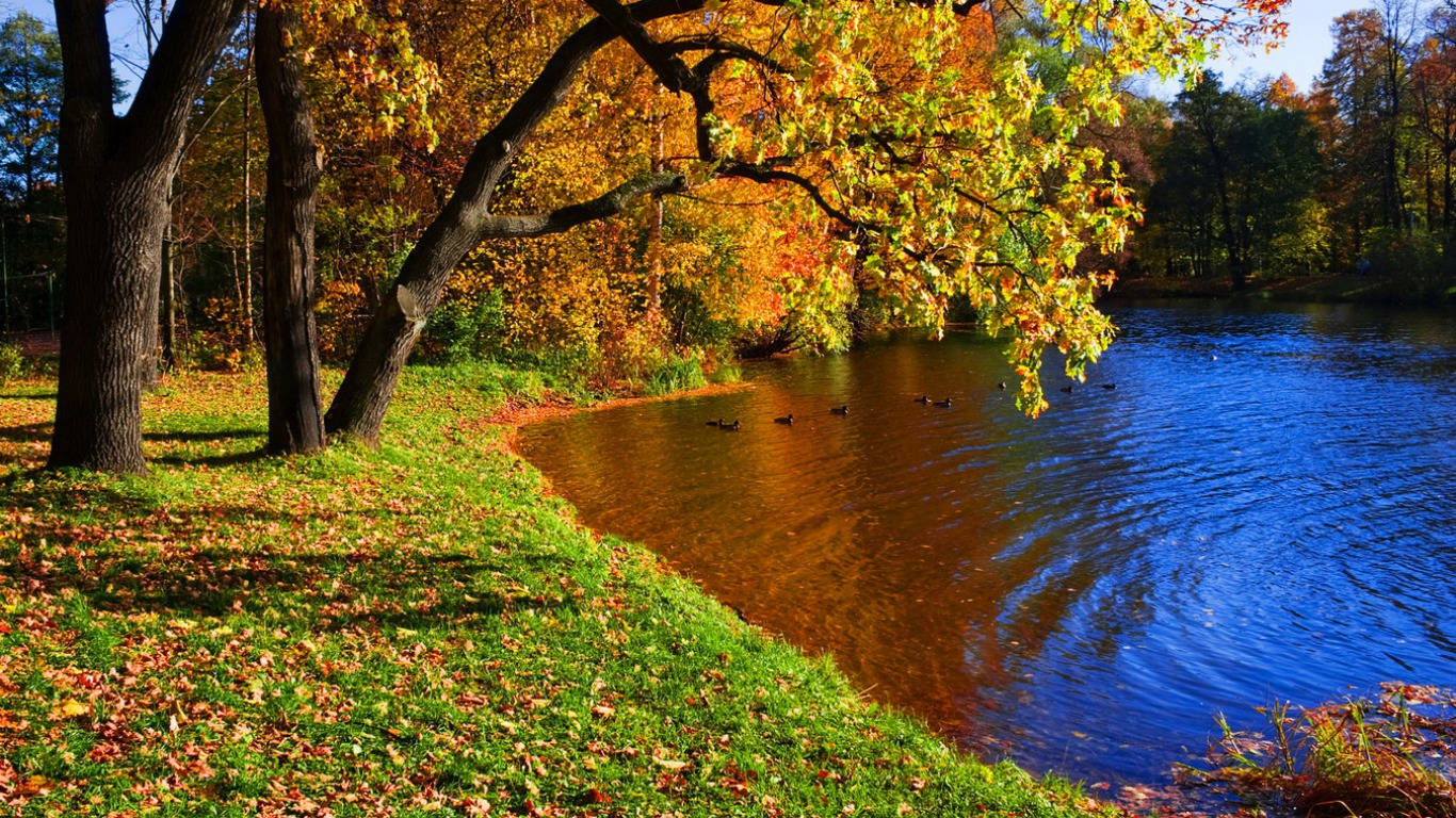 1366X768 Autumn Wallpaper and Background