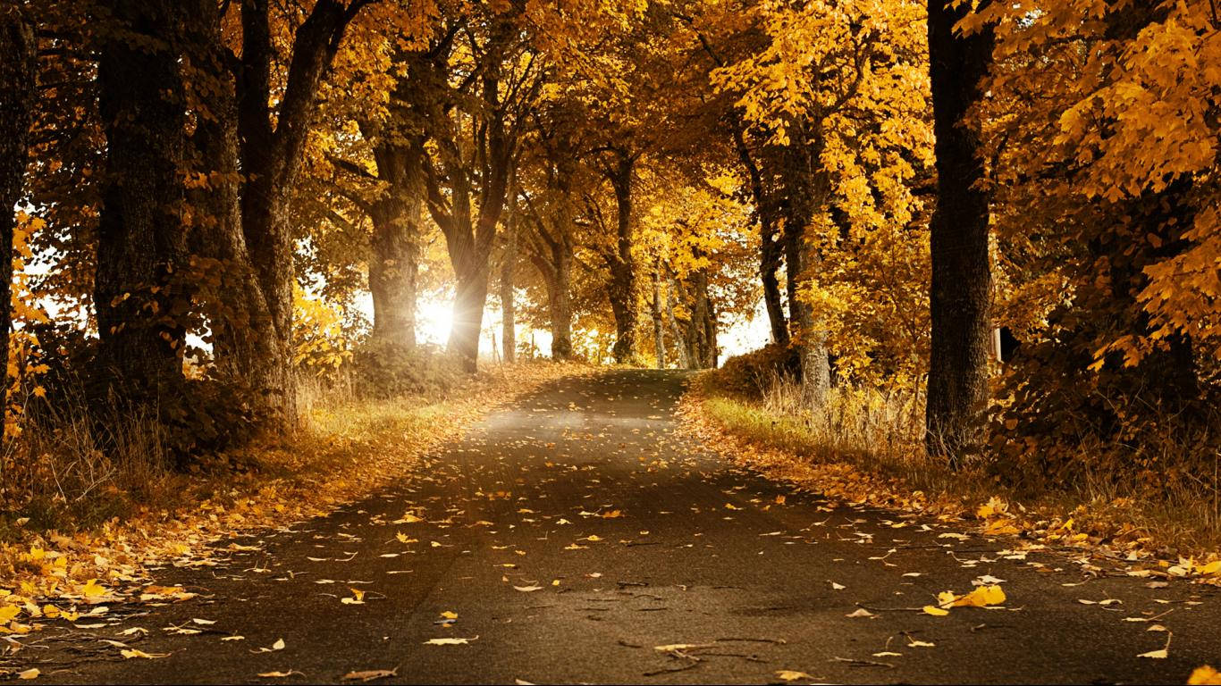 1366X768 Autumn Wallpaper and Background
