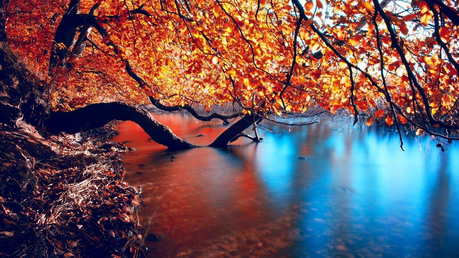 1600X900 Autumn Wallpaper and Background