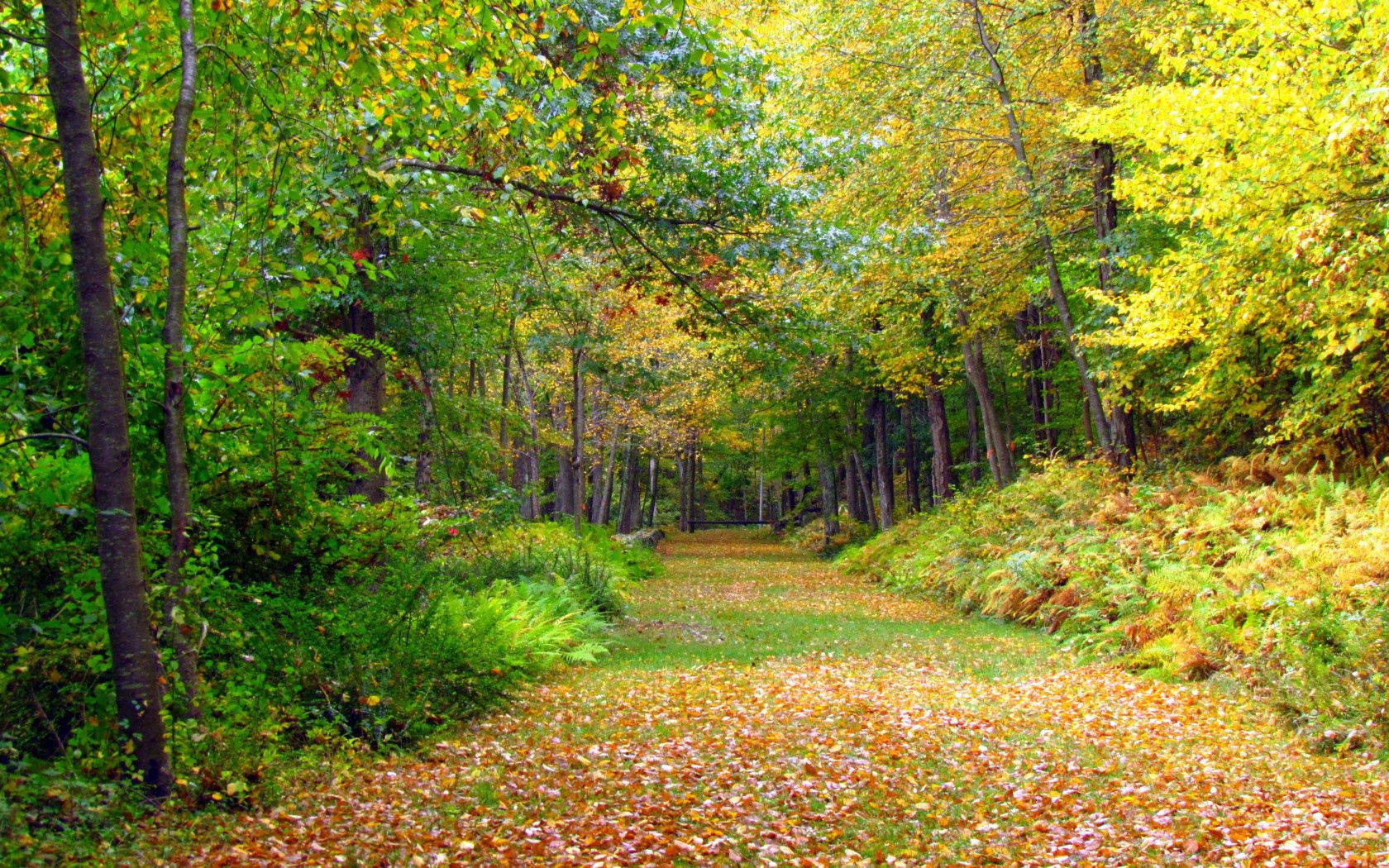1680X1050 Autumn Wallpaper and Background