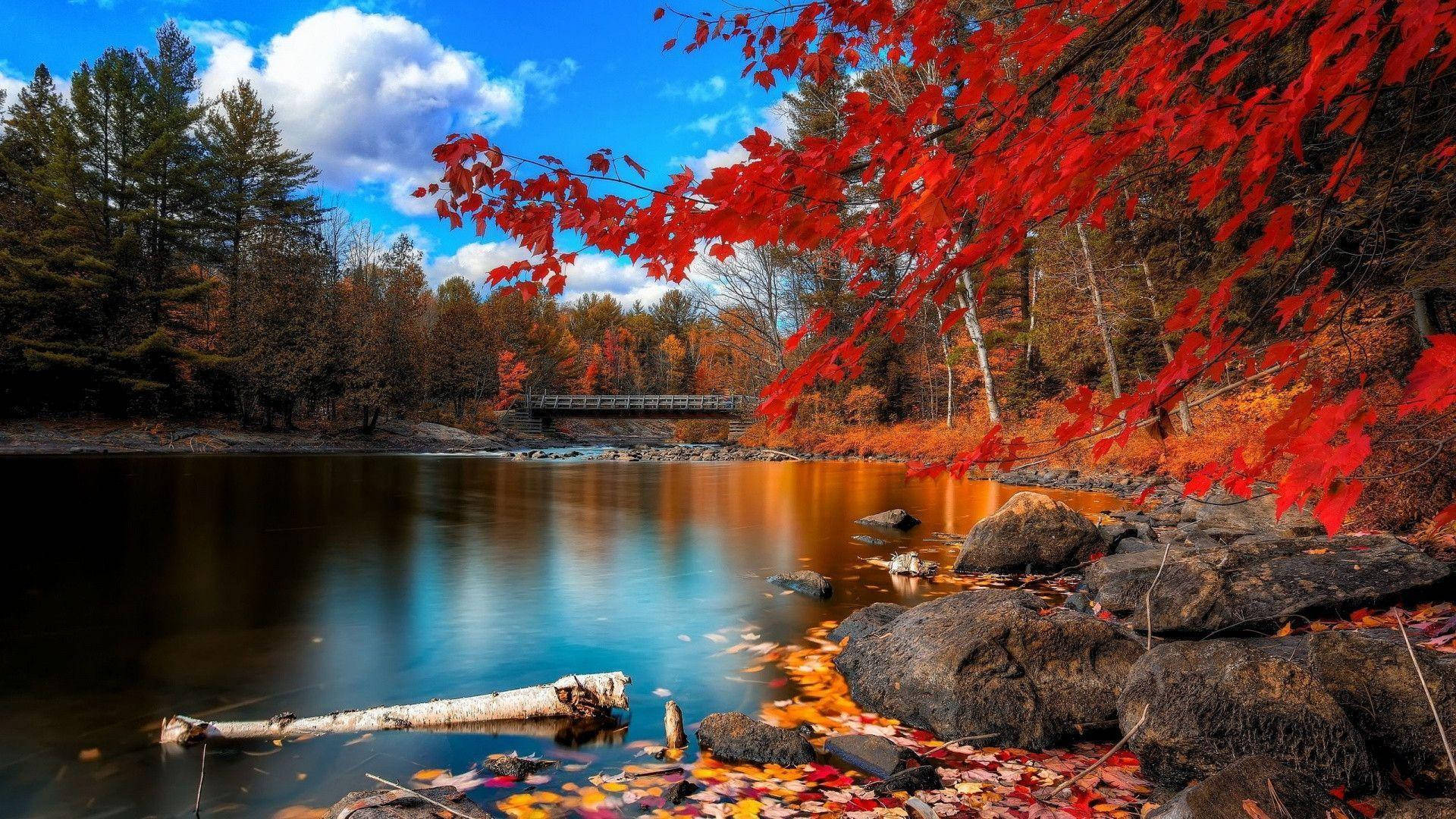 1920X1080 Autumn Wallpaper and Background