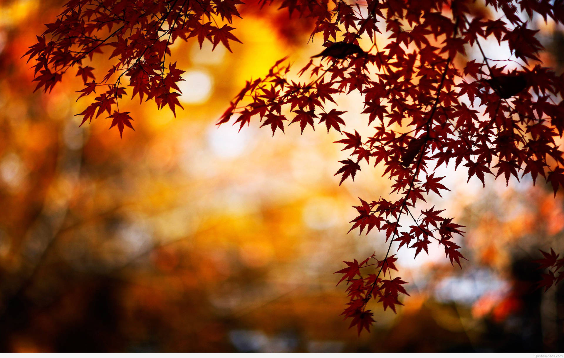 2880X1827 Autumn Wallpaper and Background