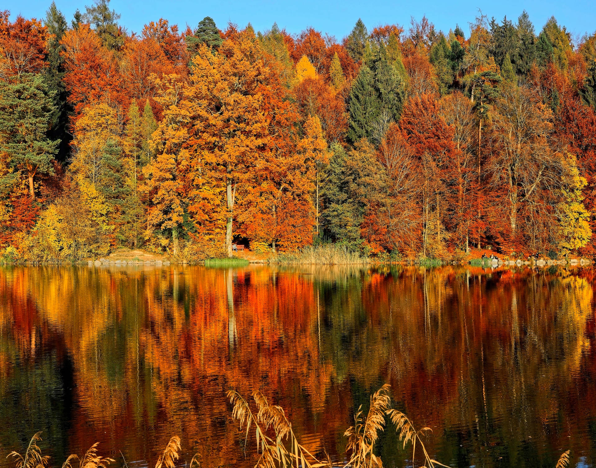 5906X4636 Autumn Wallpaper and Background