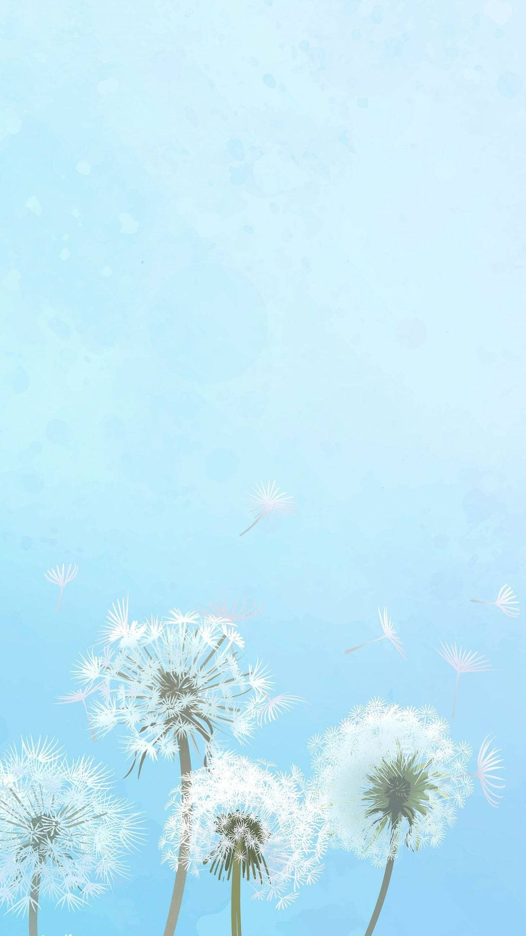 1080X1920 Baby Blue Wallpaper and Background