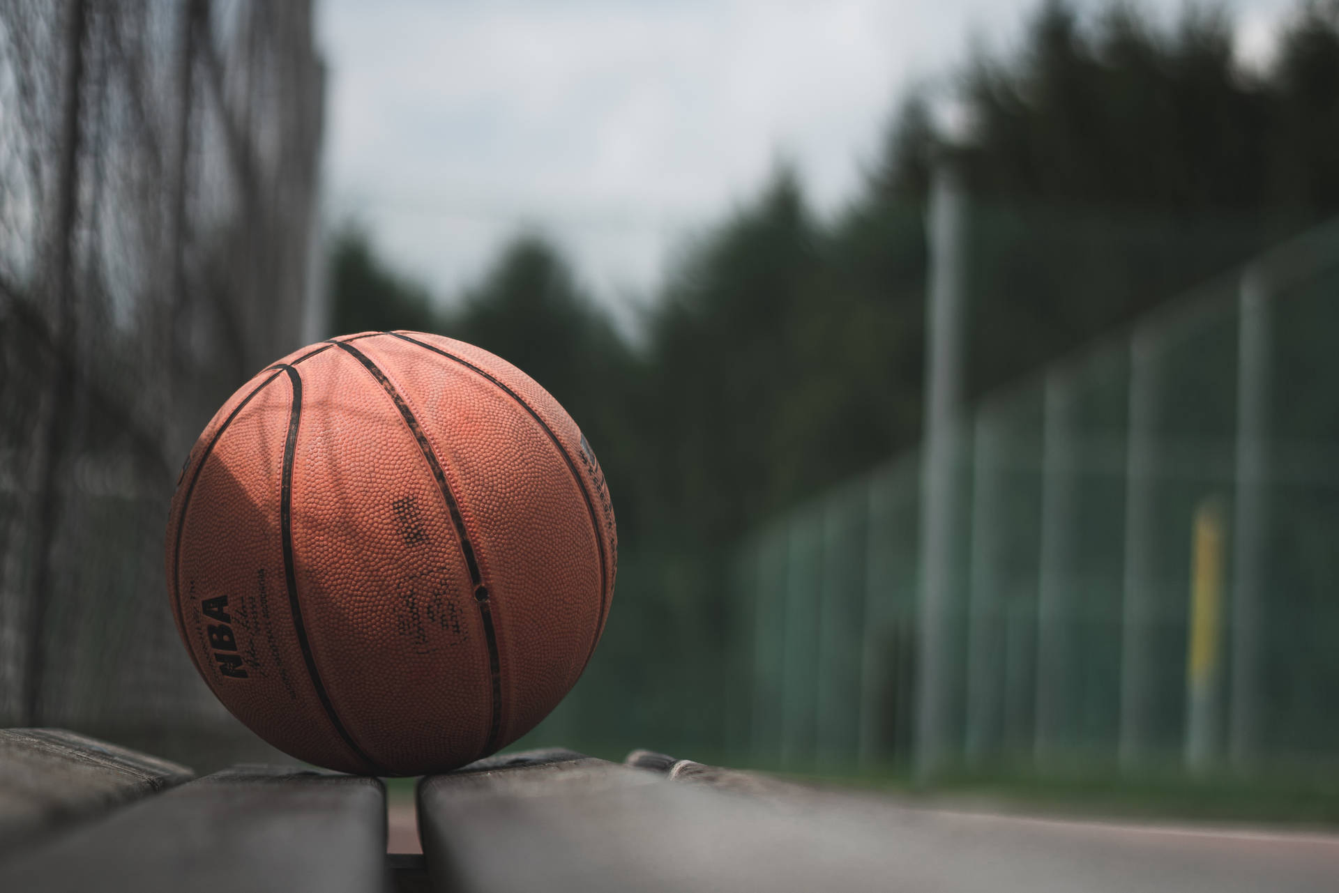 4973X3317 Basketball Wallpaper and Background