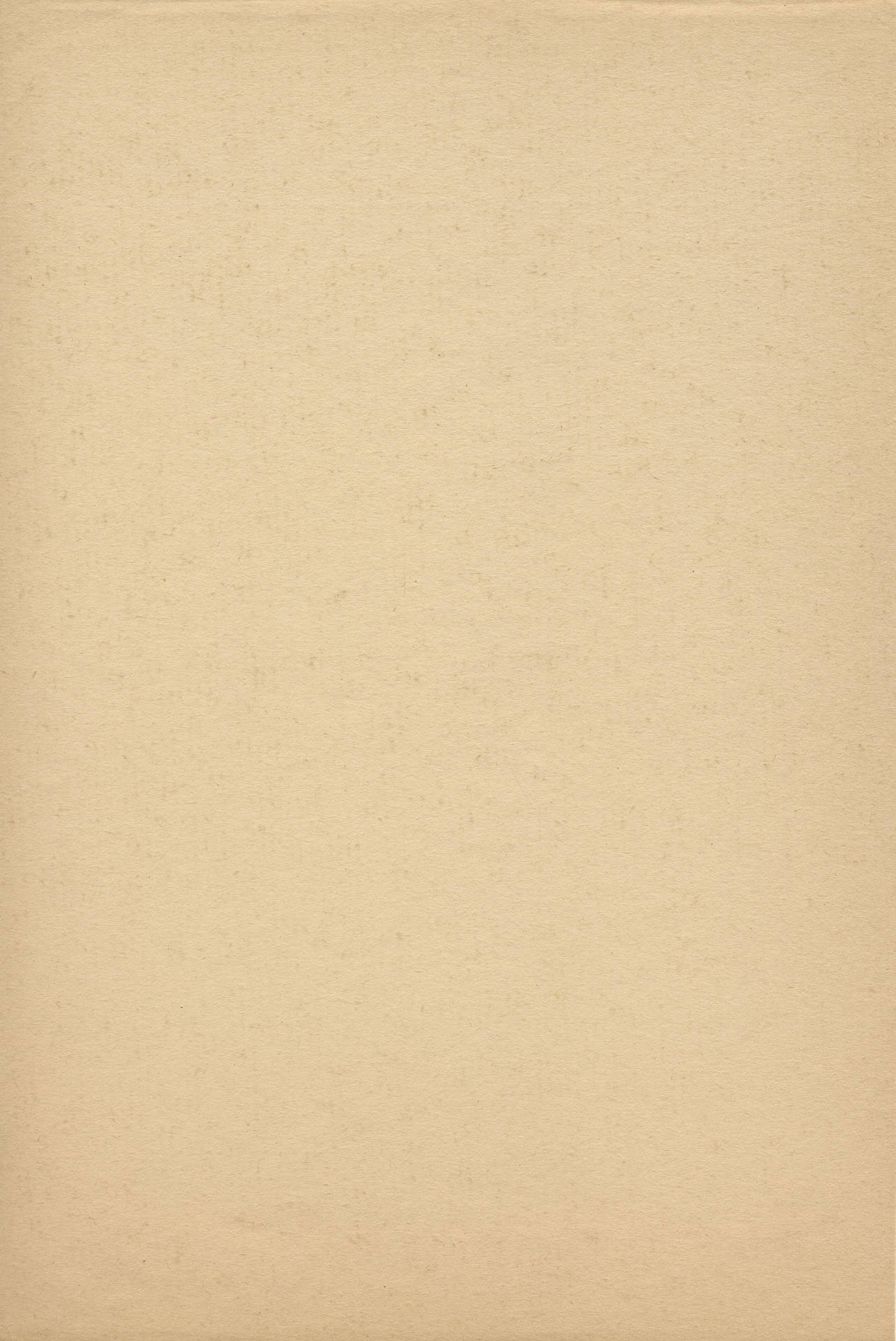 3075X4599 Beige Aesthetic Wallpaper and Background