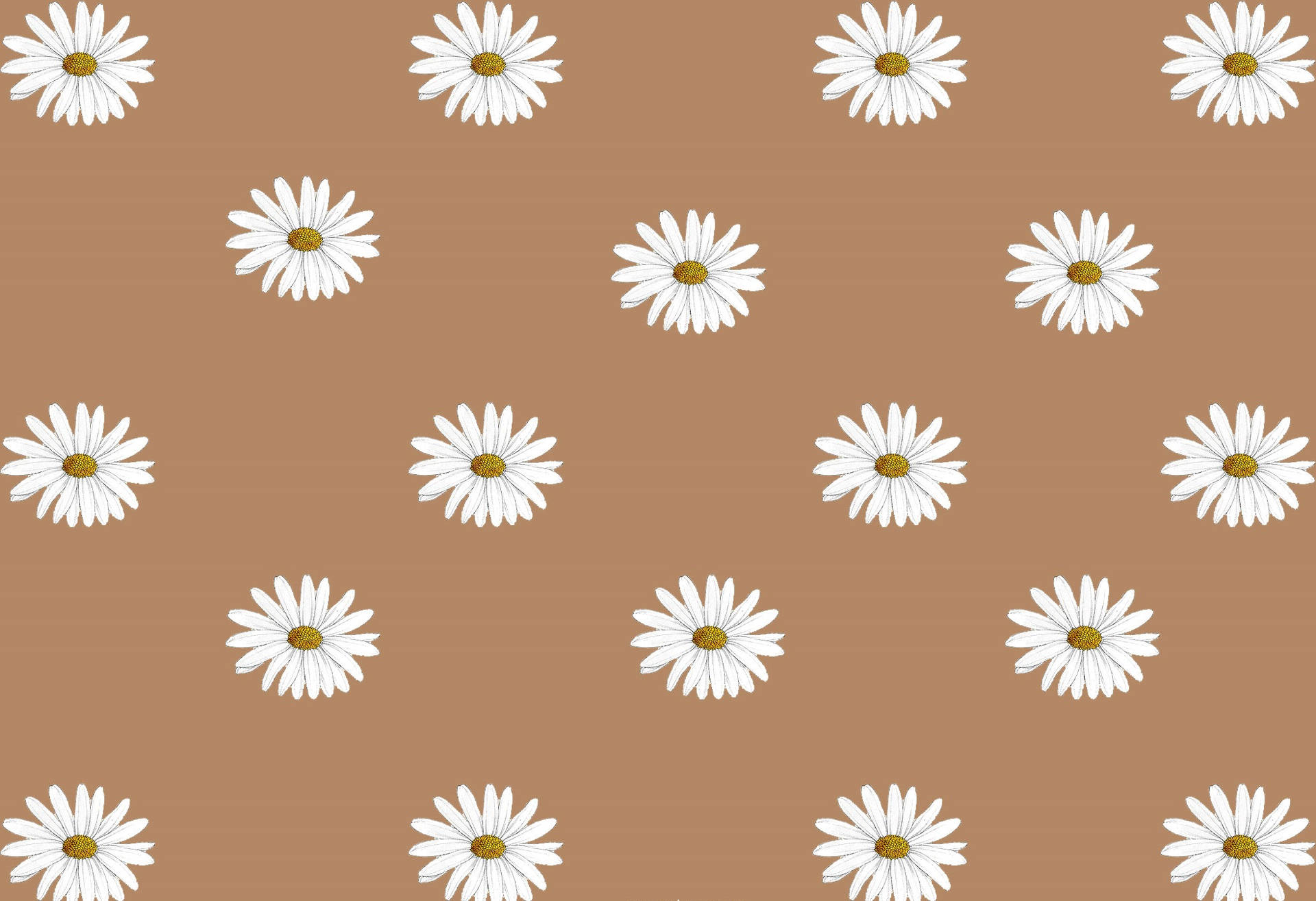 1970X1349 Beige Brown Aesthetic Wallpaper and Background