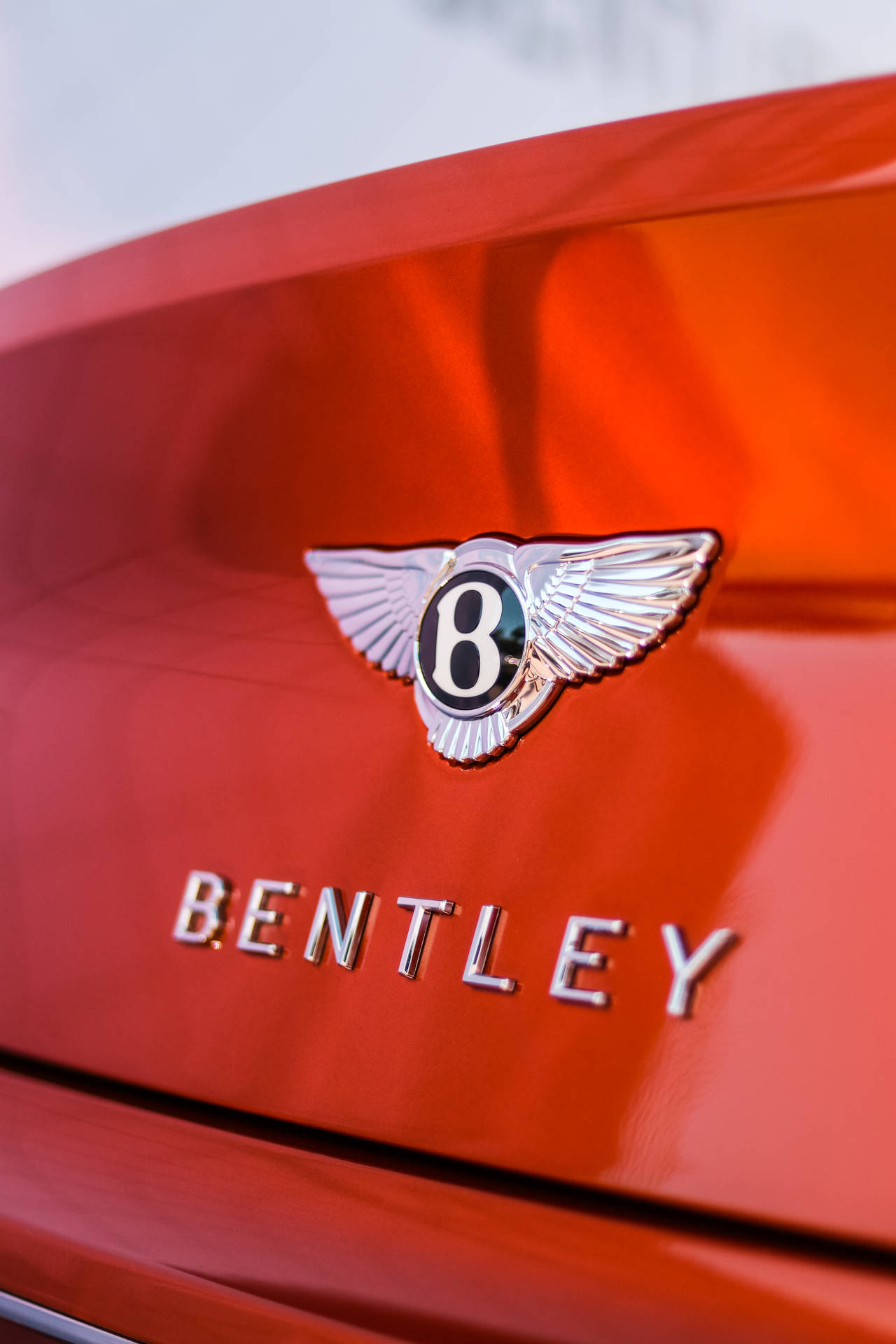 4000X6000 Bentley Wallpaper and Background