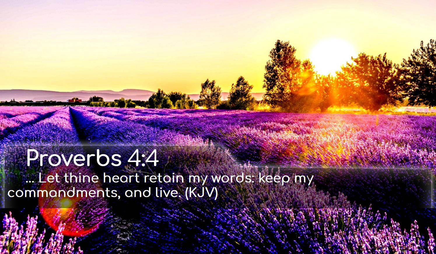 1495X870 Bible Verse Wallpaper and Background