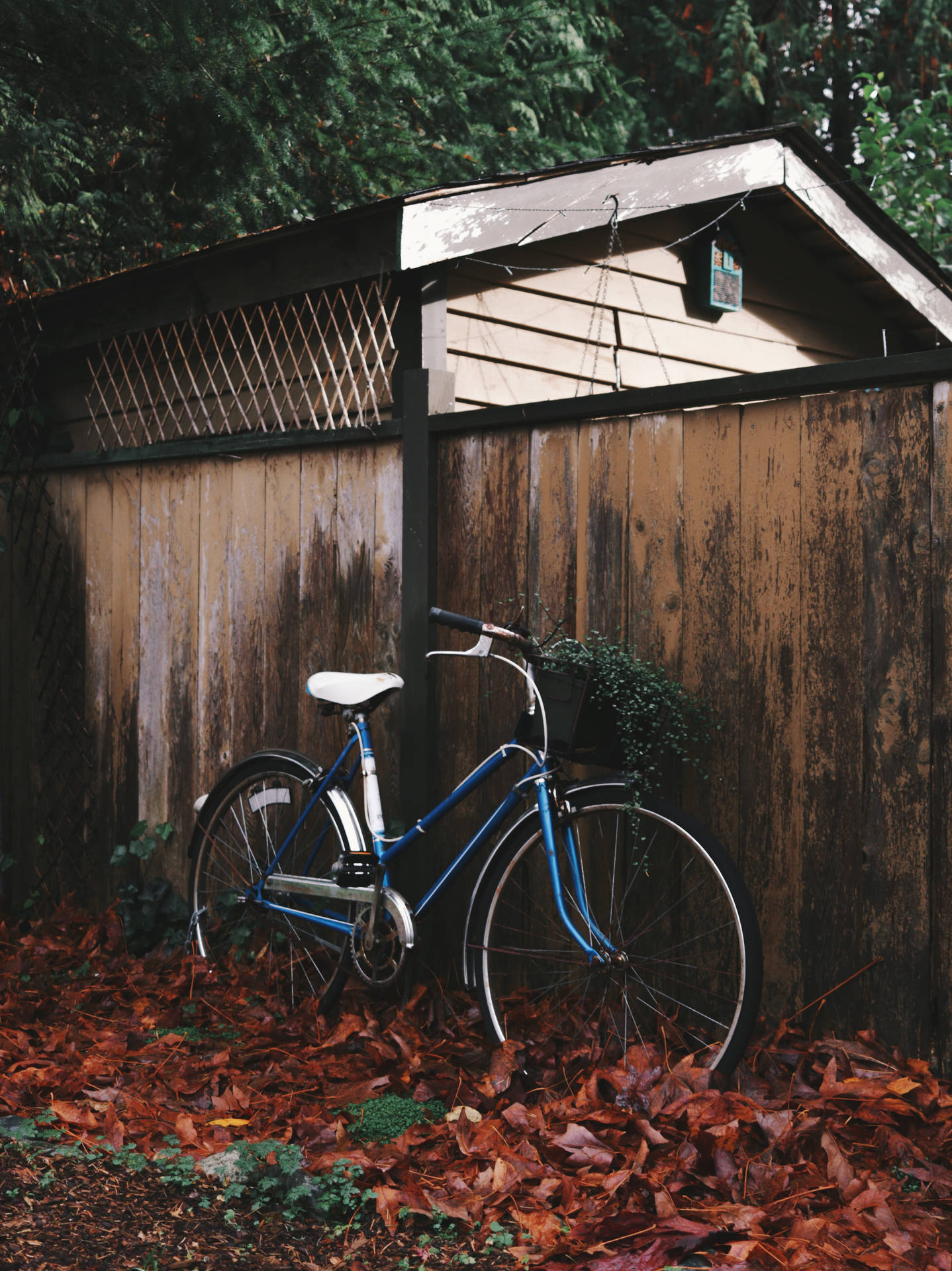 3863X5158 Bike Wallpaper and Background