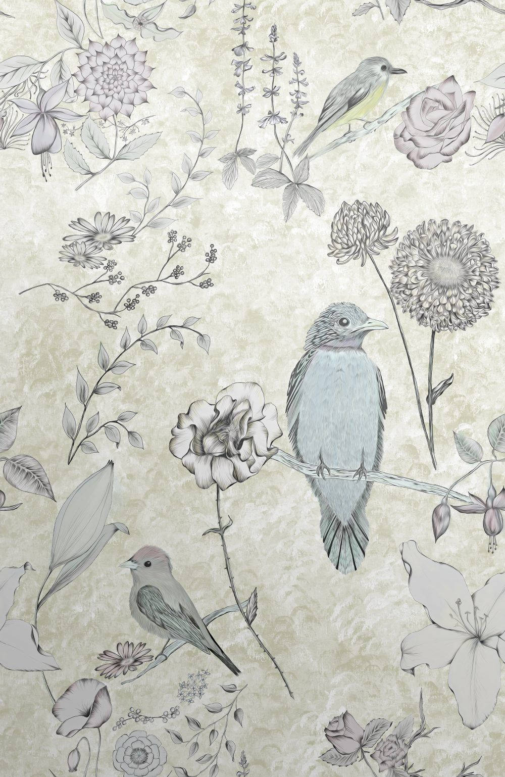1000X1538 Bird Wallpaper and Background