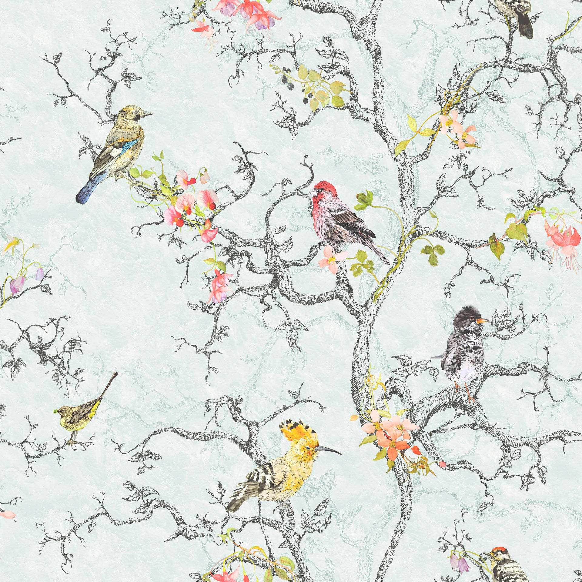 3000X3000 Bird Wallpaper and Background