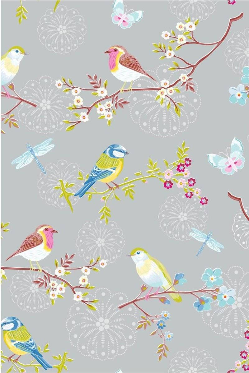 800X1200 Bird Wallpaper and Background