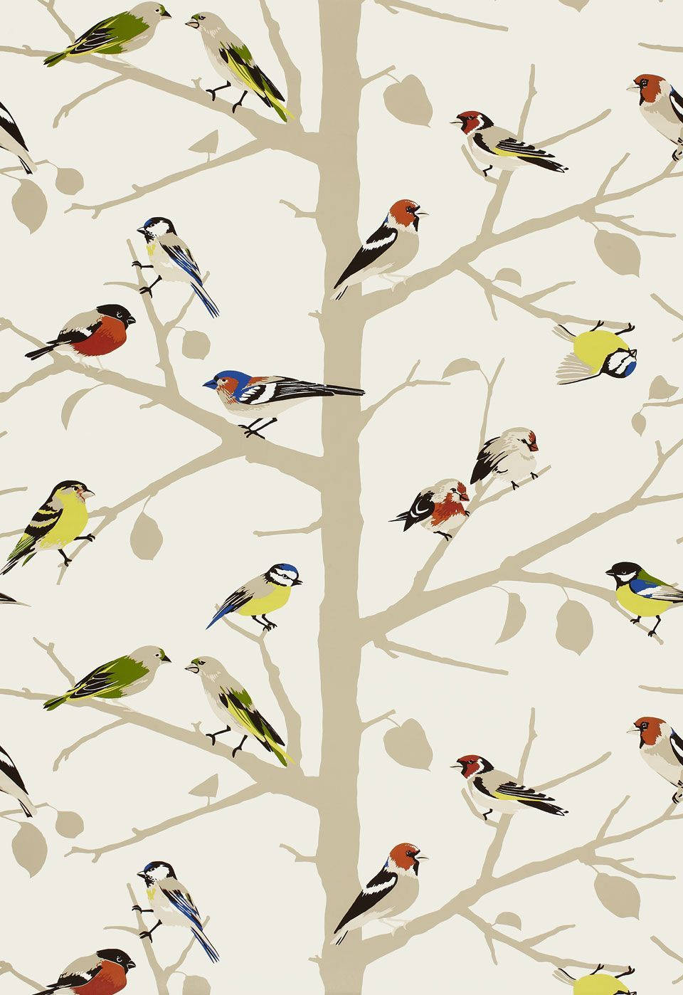 960X1398 Bird Wallpaper and Background