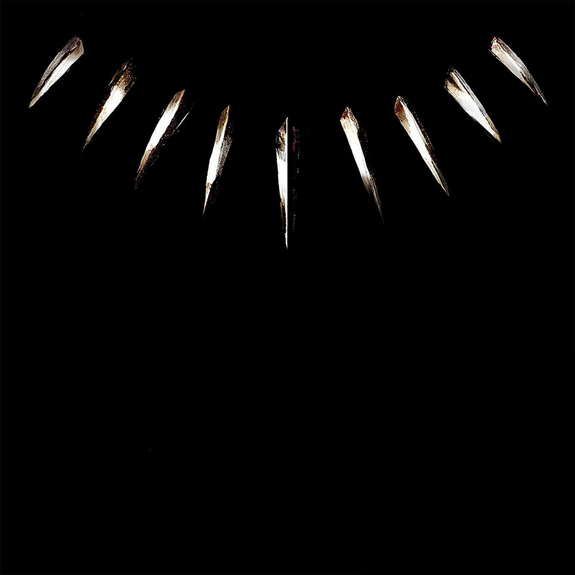 2732X2732 Black Panther Wallpaper and Background