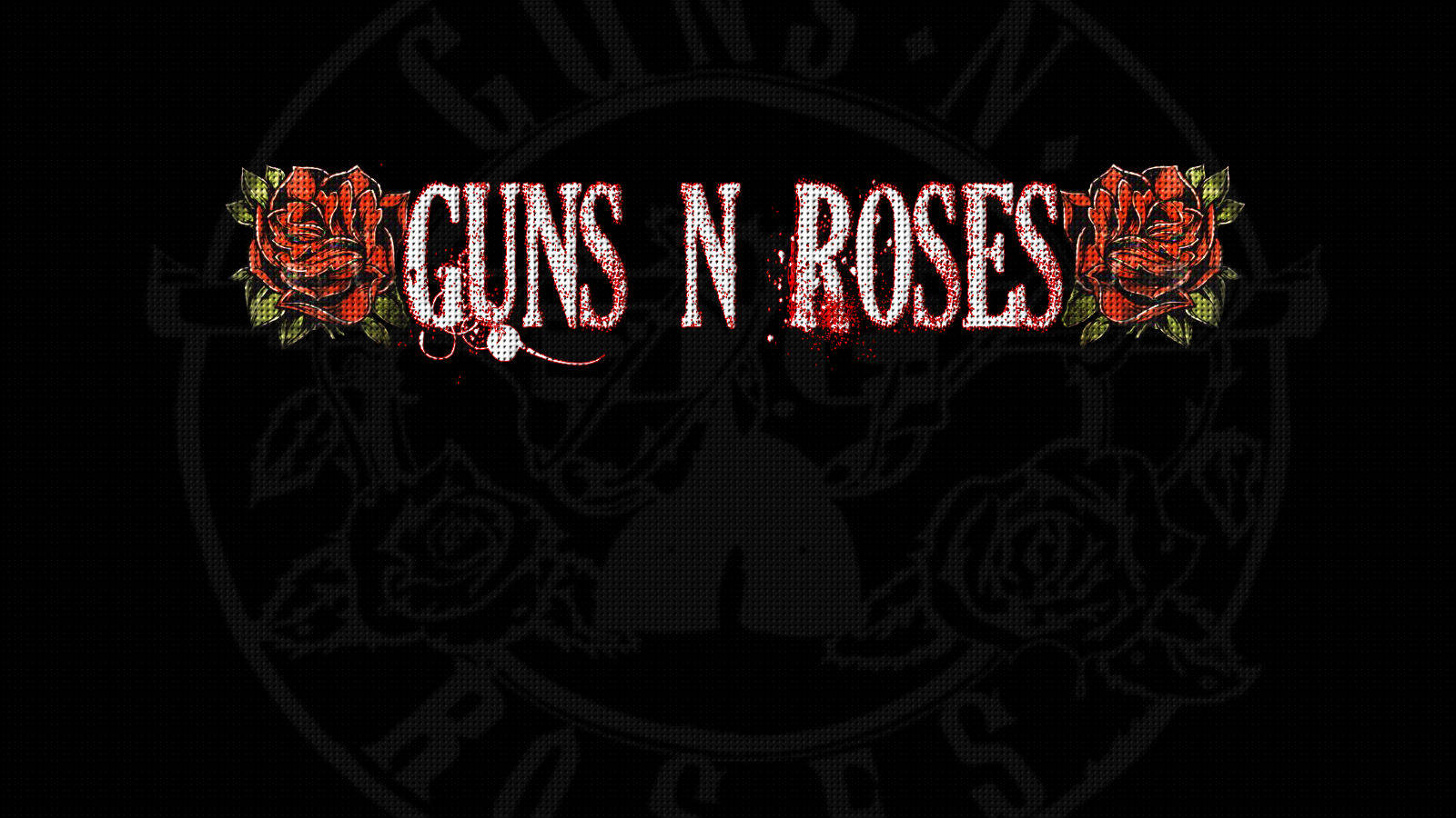 1600X900 Black Rose Wallpaper and Background