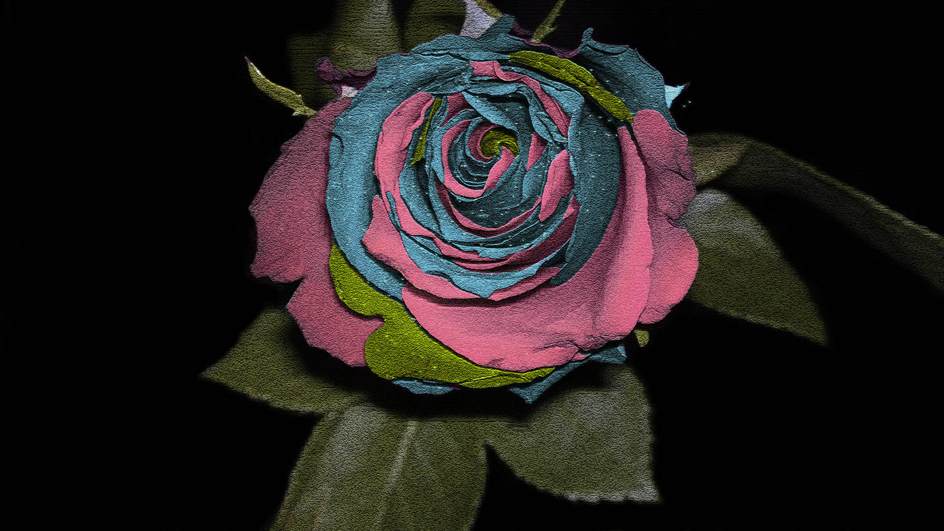 4000X2250 Black Rose Wallpaper and Background