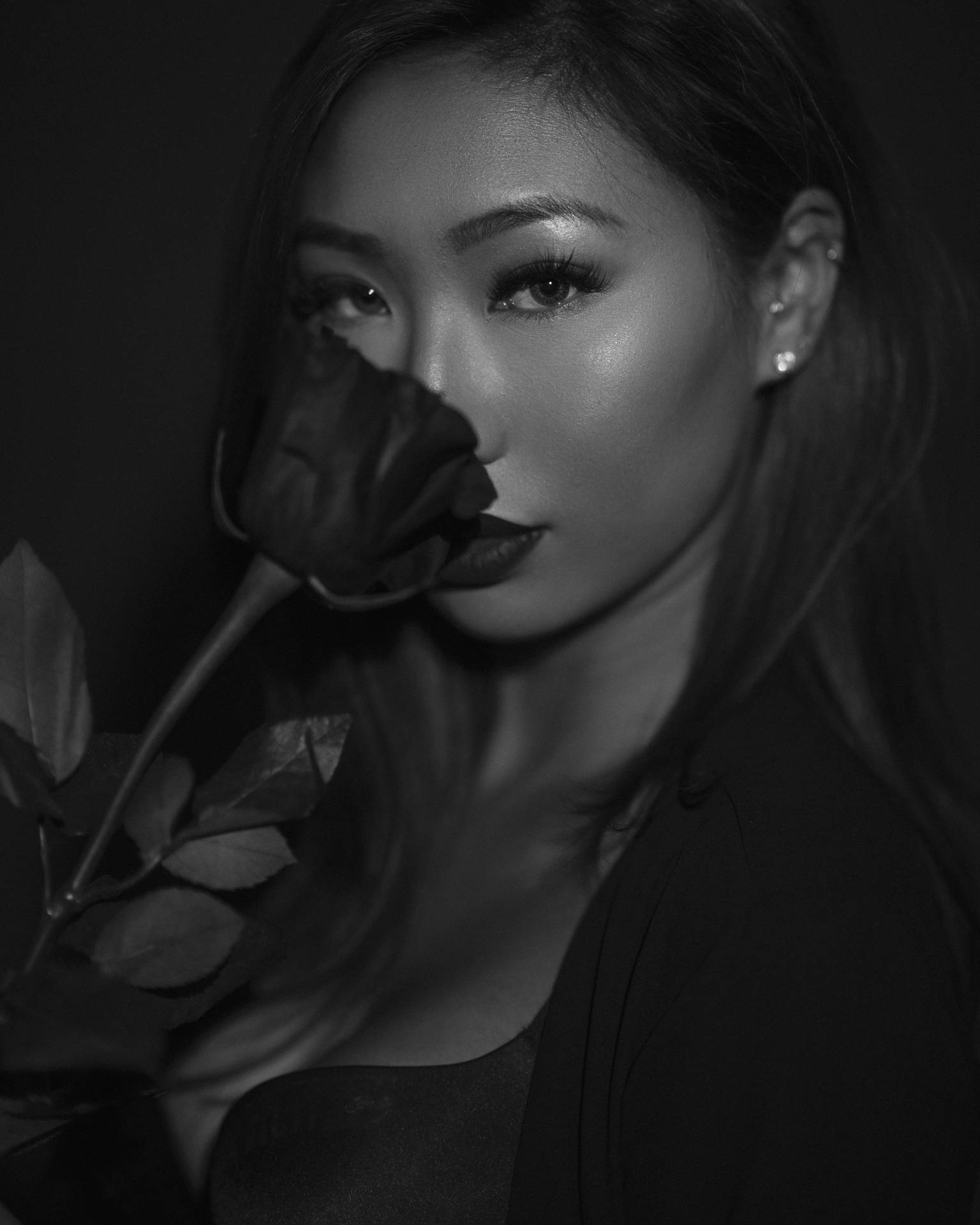 4016X5020 Black Rose Wallpaper and Background