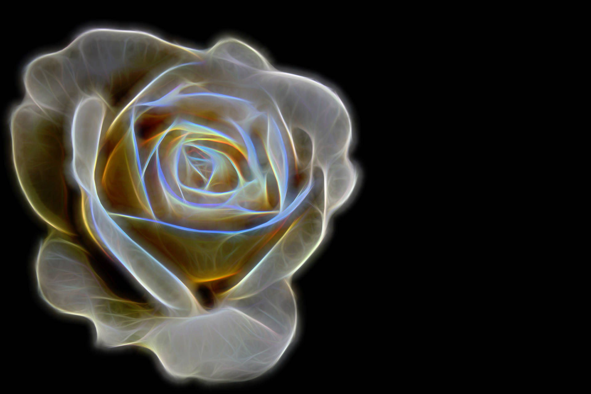 4272X2848 Black Rose Wallpaper and Background