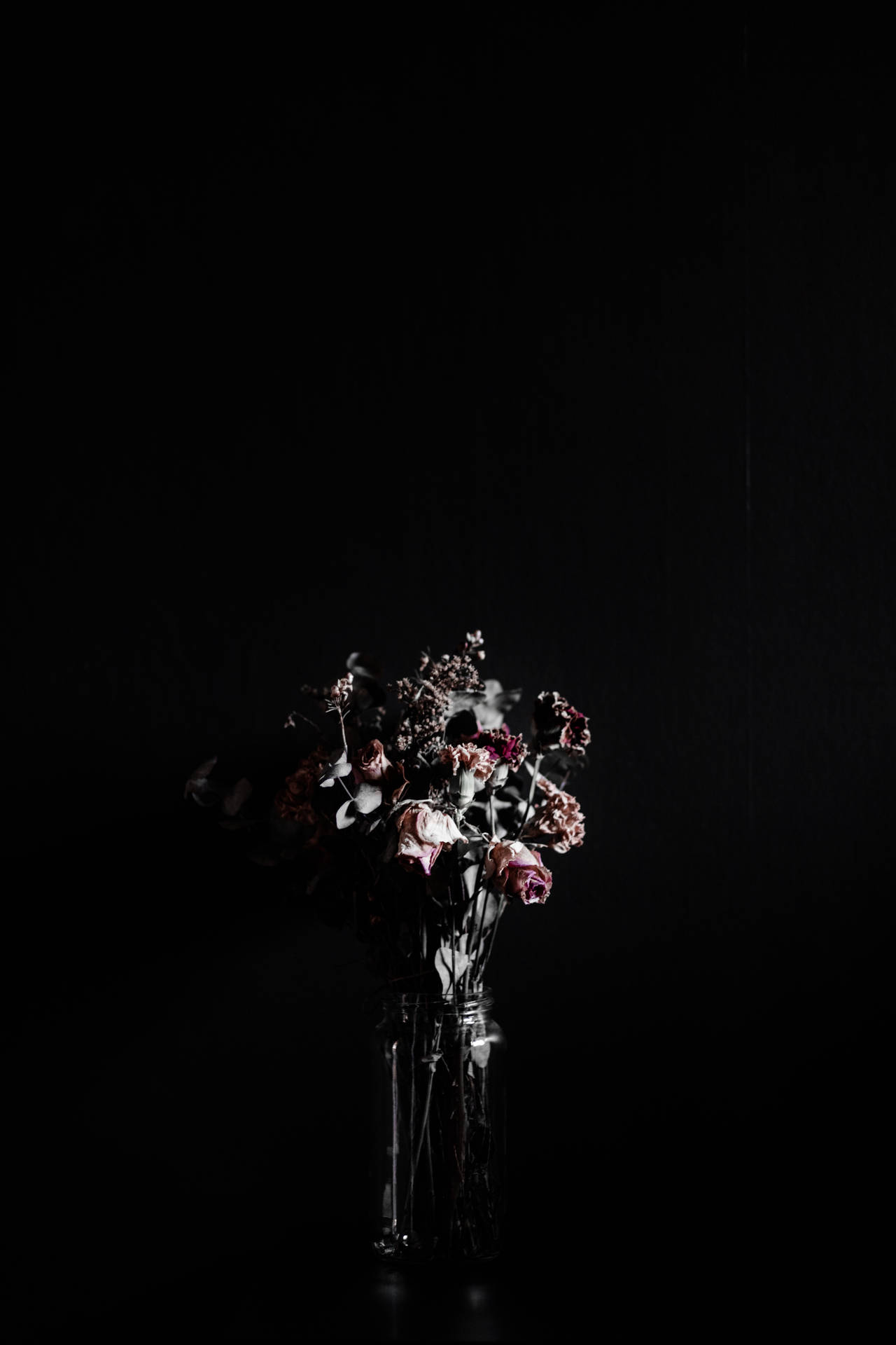 4480X6720 Black Rose Wallpaper and Background