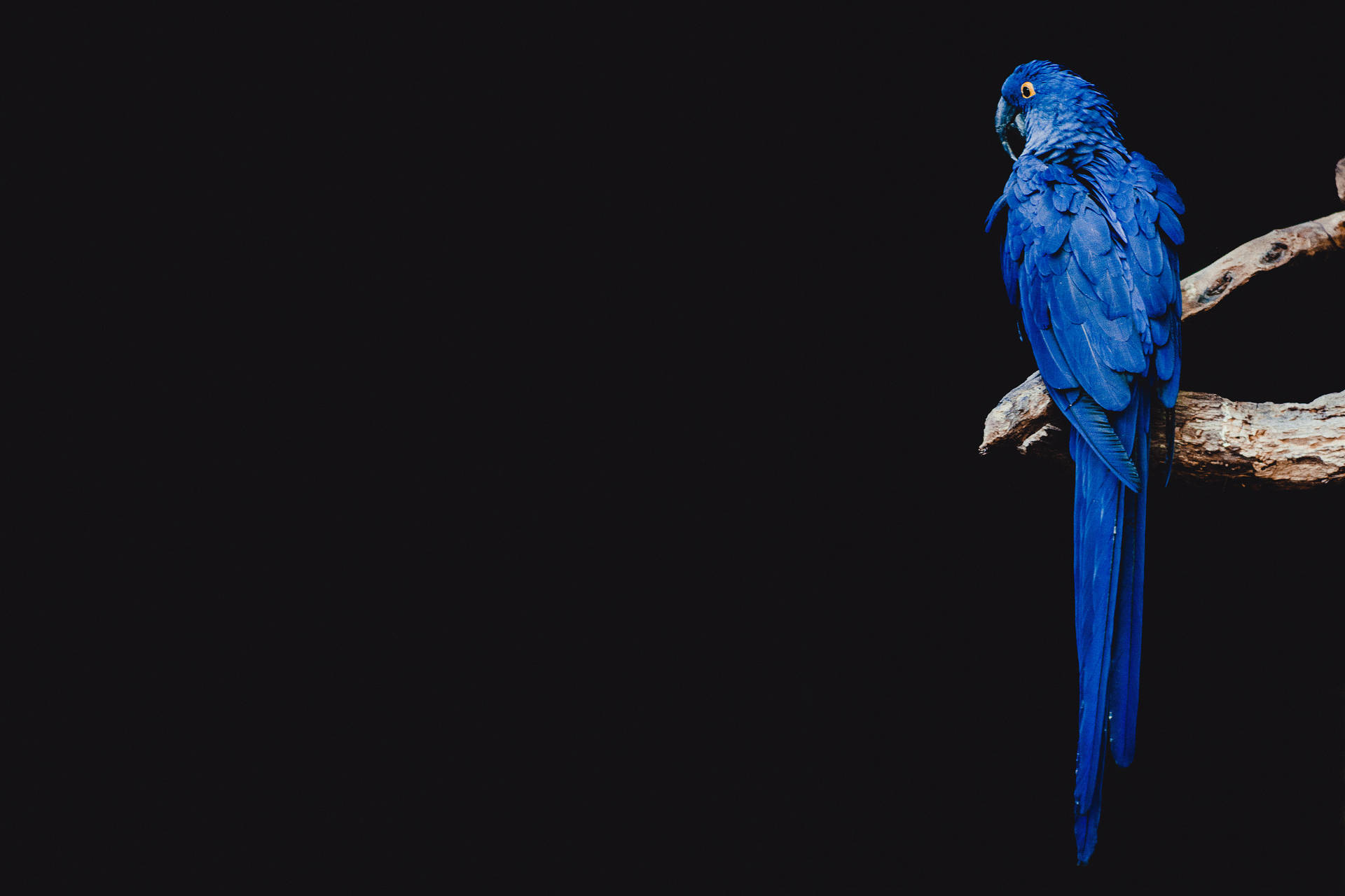 4500X3000 Blue Wallpaper and Background