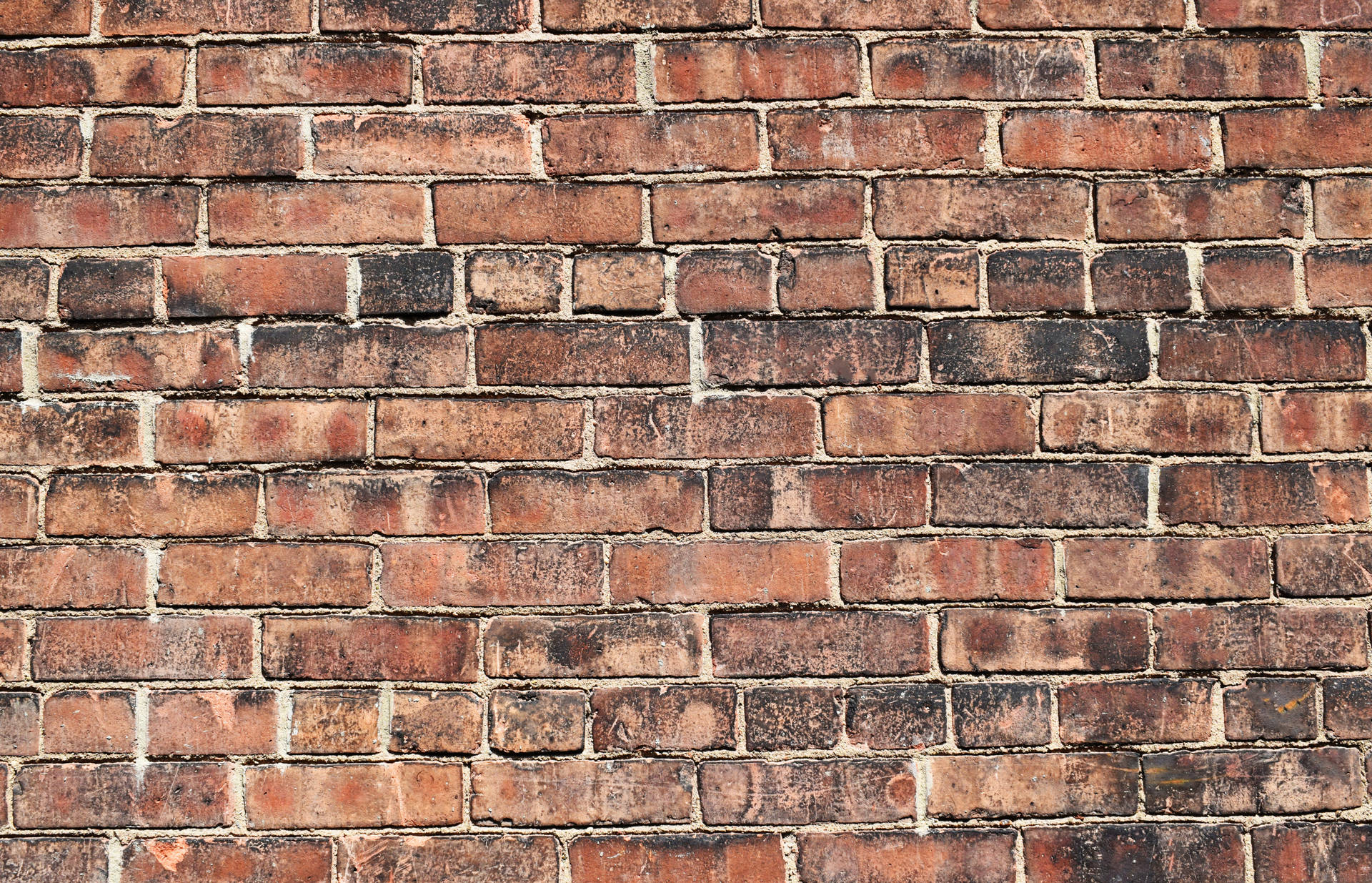 5915X3805 Brick Wallpaper and Background