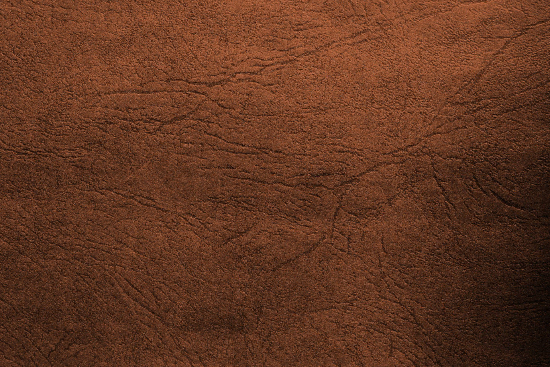 2560X1707 Brown Wallpaper and Background