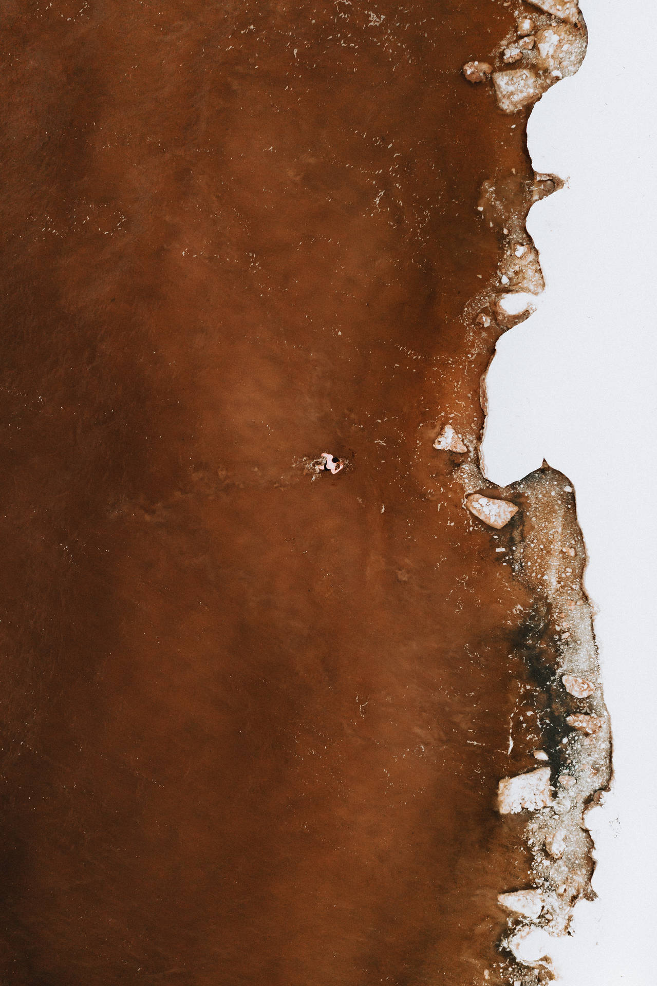 3231X4850 Brown Wallpaper and Background