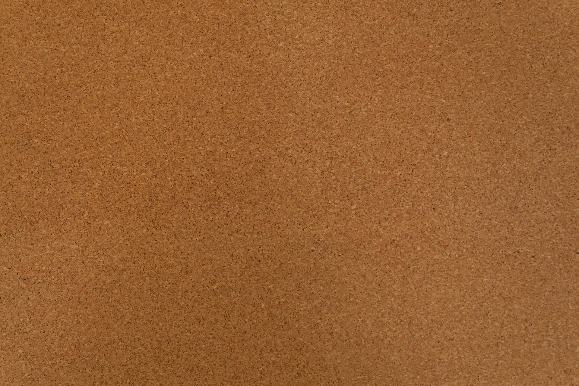 4893X3267 Brown Wallpaper and Background