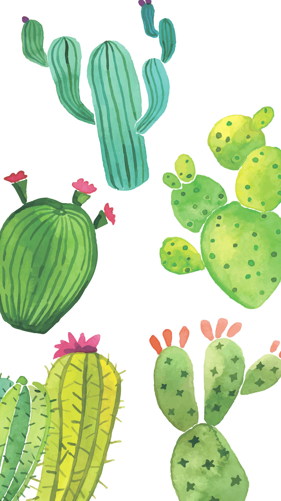 1150X2048 Cactus Wallpaper and Background