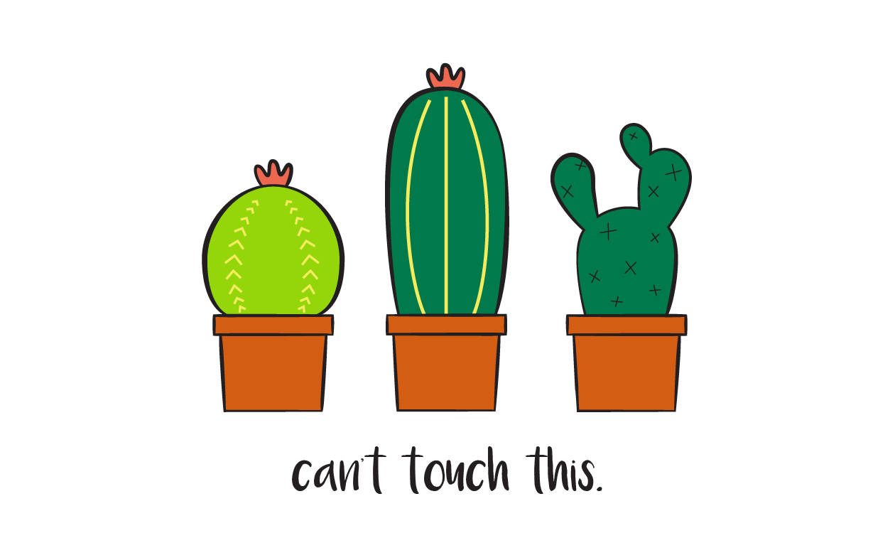 1260X788 Cactus Wallpaper and Background