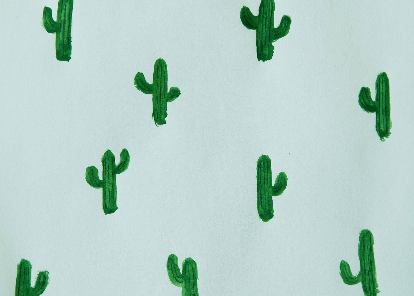 1616X1154 Cactus Wallpaper and Background