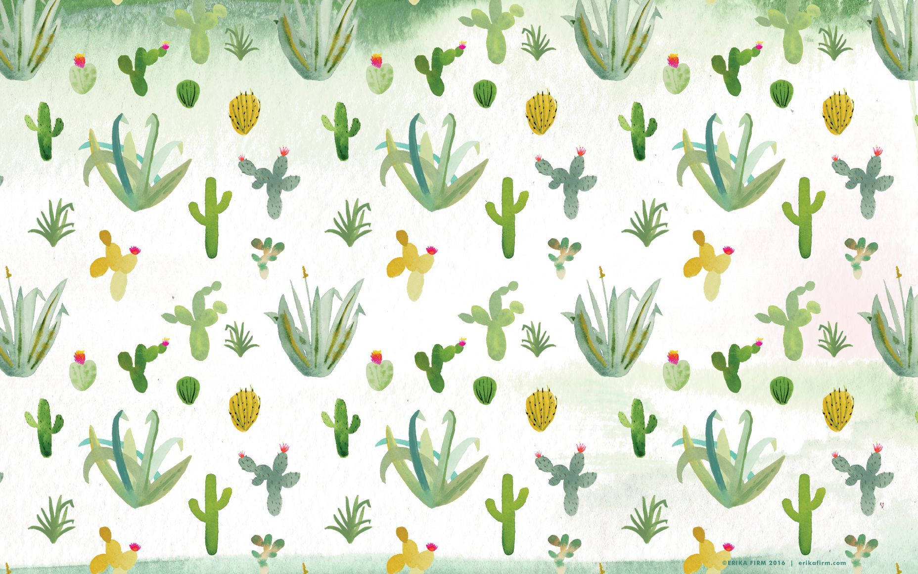1856X1161 Cactus Wallpaper and Background
