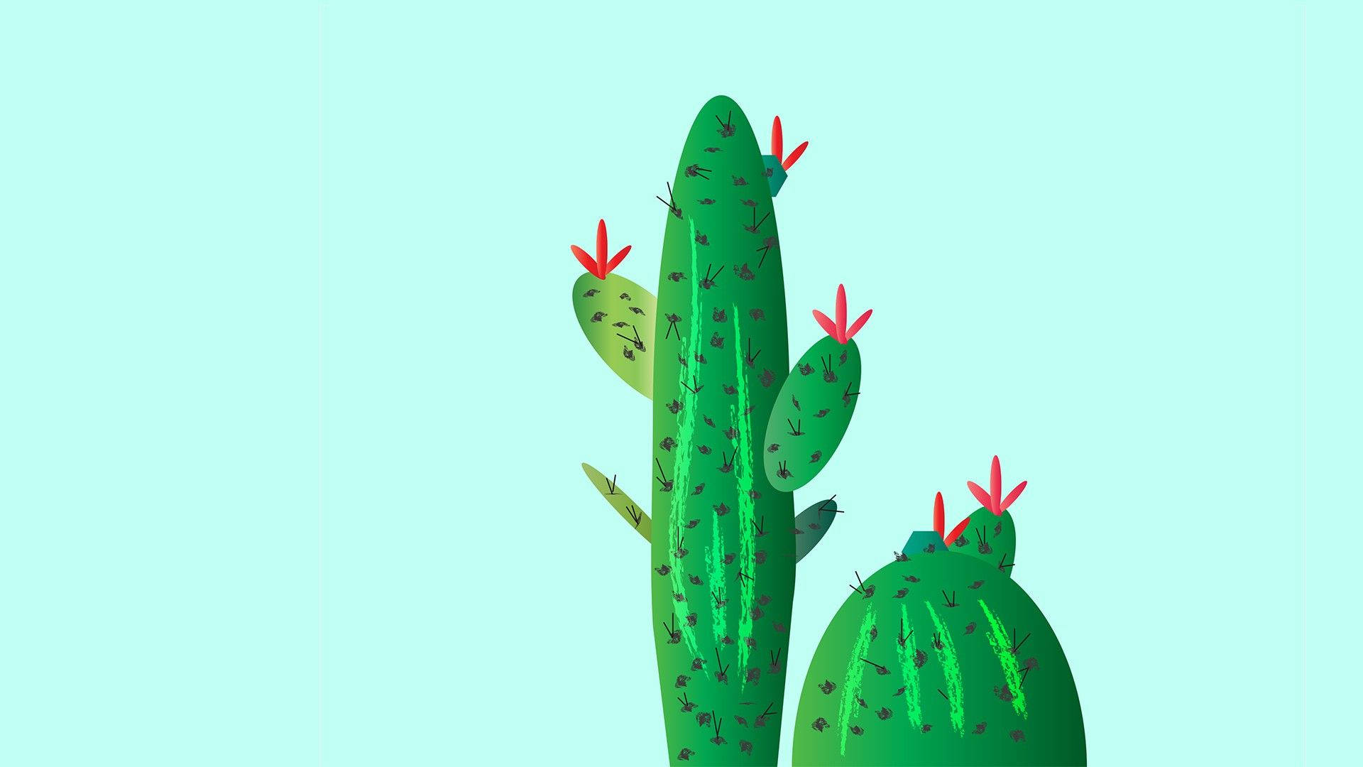 1920X1080 Cactus Wallpaper and Background
