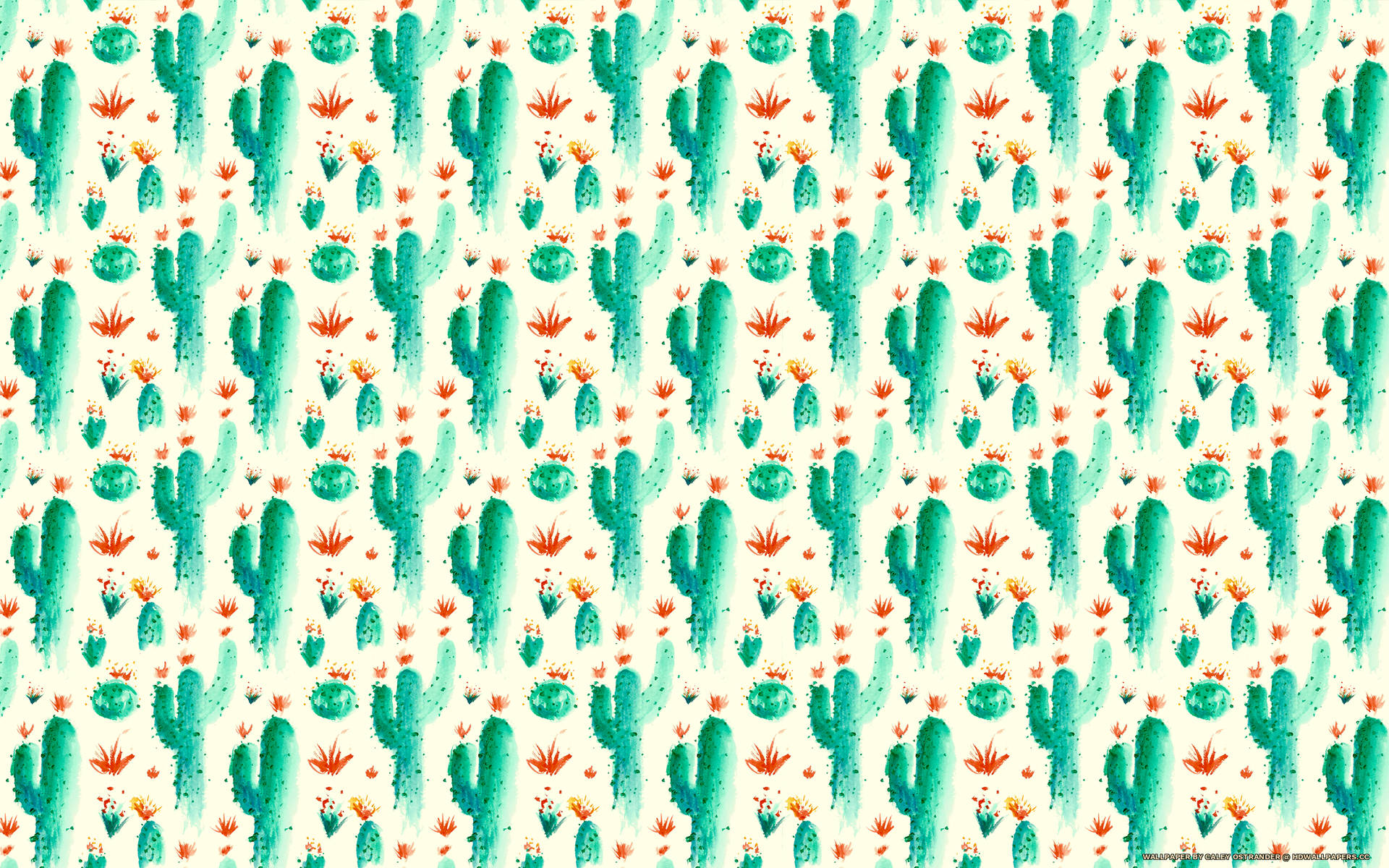 2560X1600 Cactus Wallpaper and Background