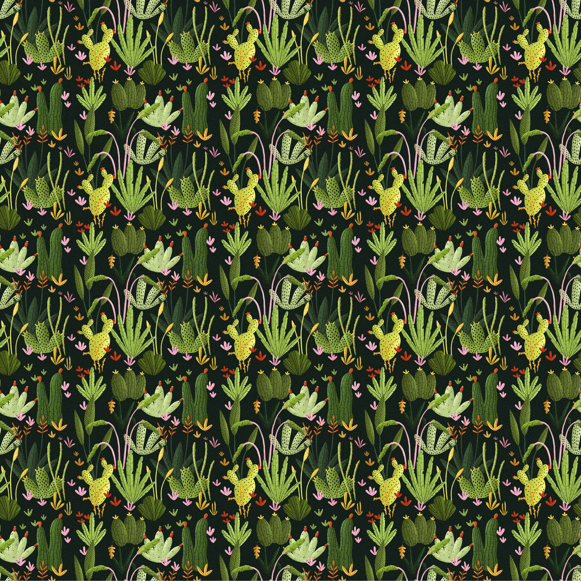 3840X3840 Cactus Wallpaper and Background