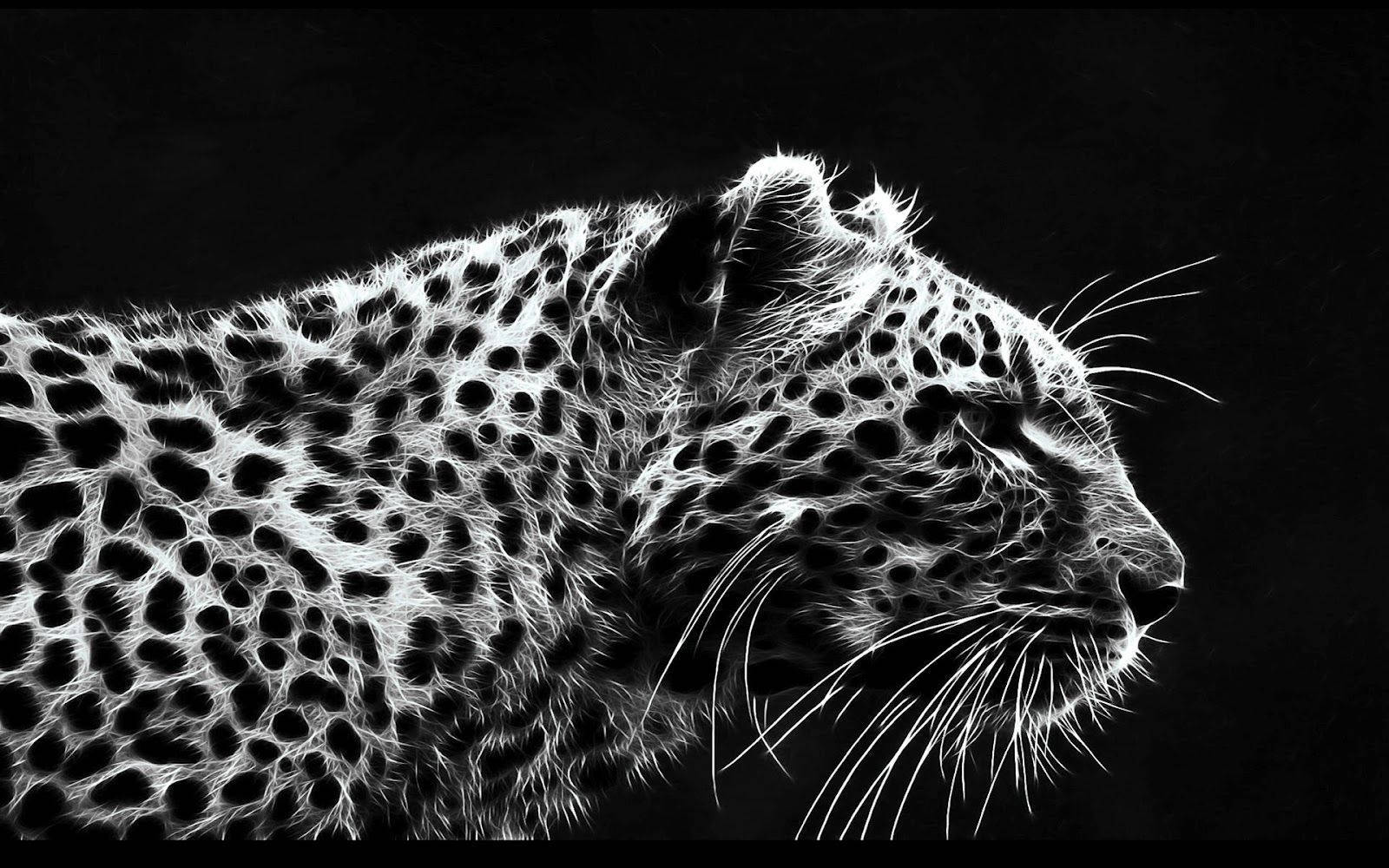 1600X1000 Cheetah Wallpaper and Background