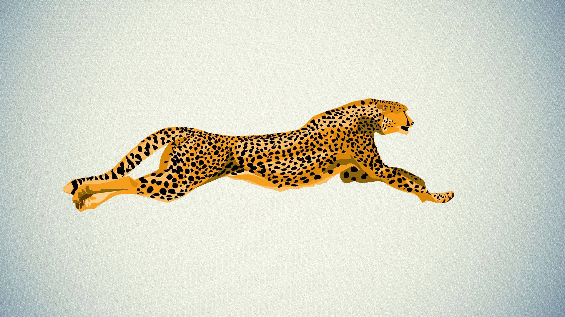 1920X1080 Cheetah Wallpaper and Background