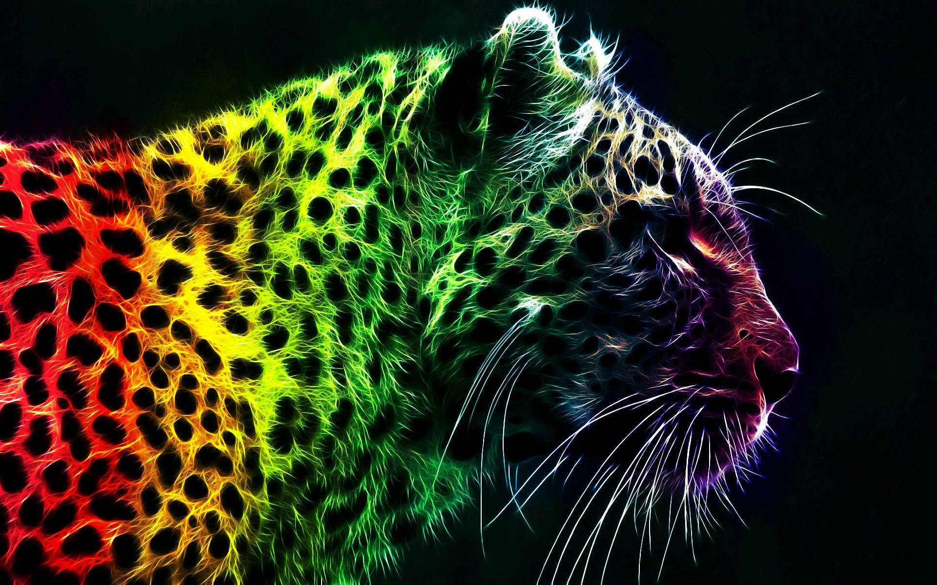 1920X1200 Cheetah Wallpaper and Background