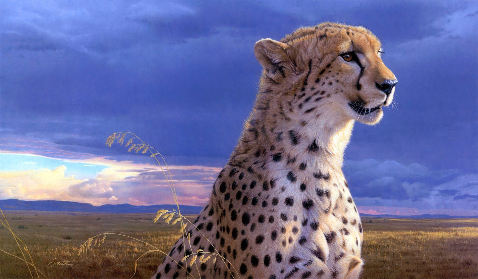 2930X1710 Cheetah Wallpaper and Background